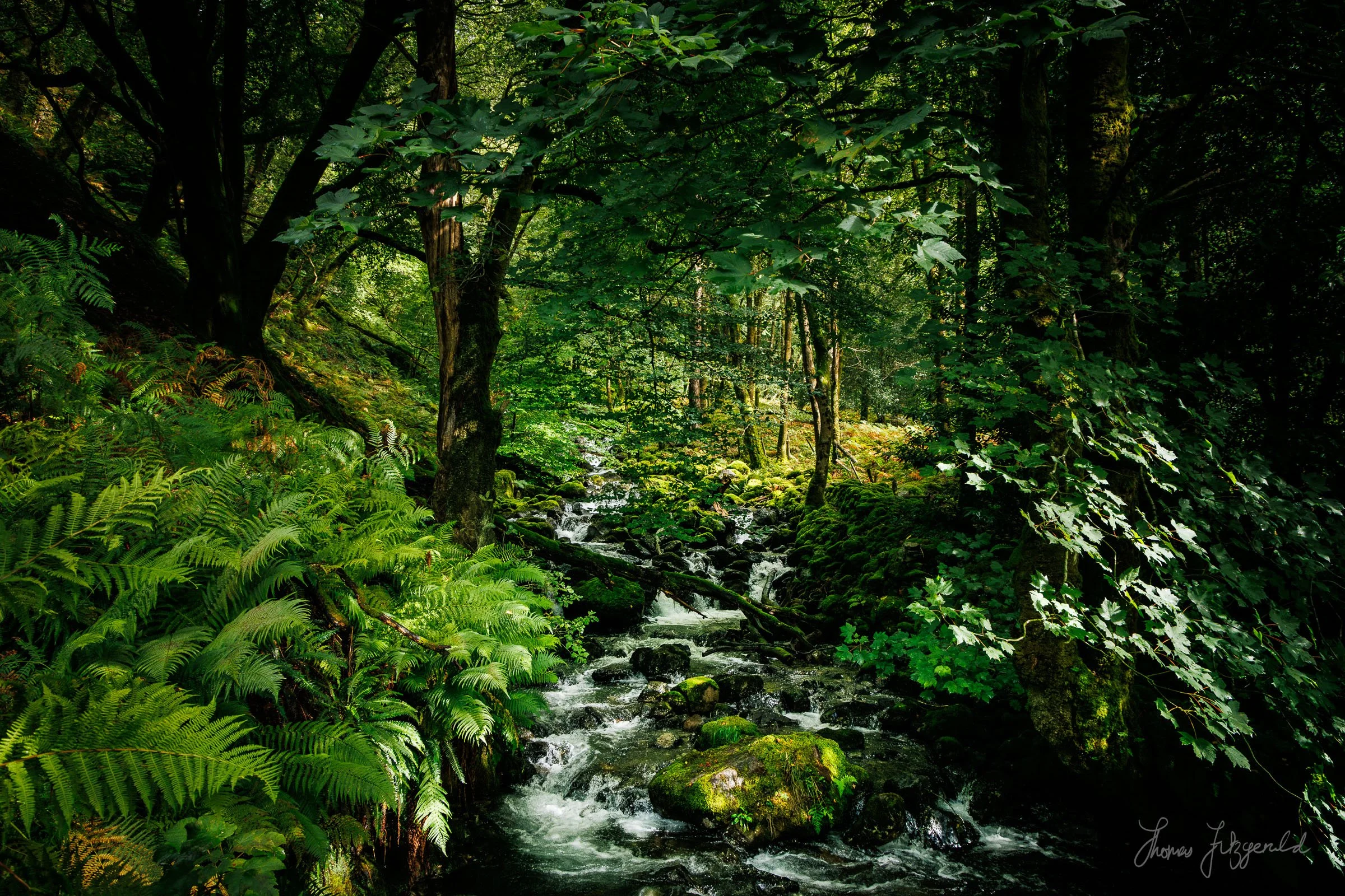 A beautiful waterfall up the welsh mountains
