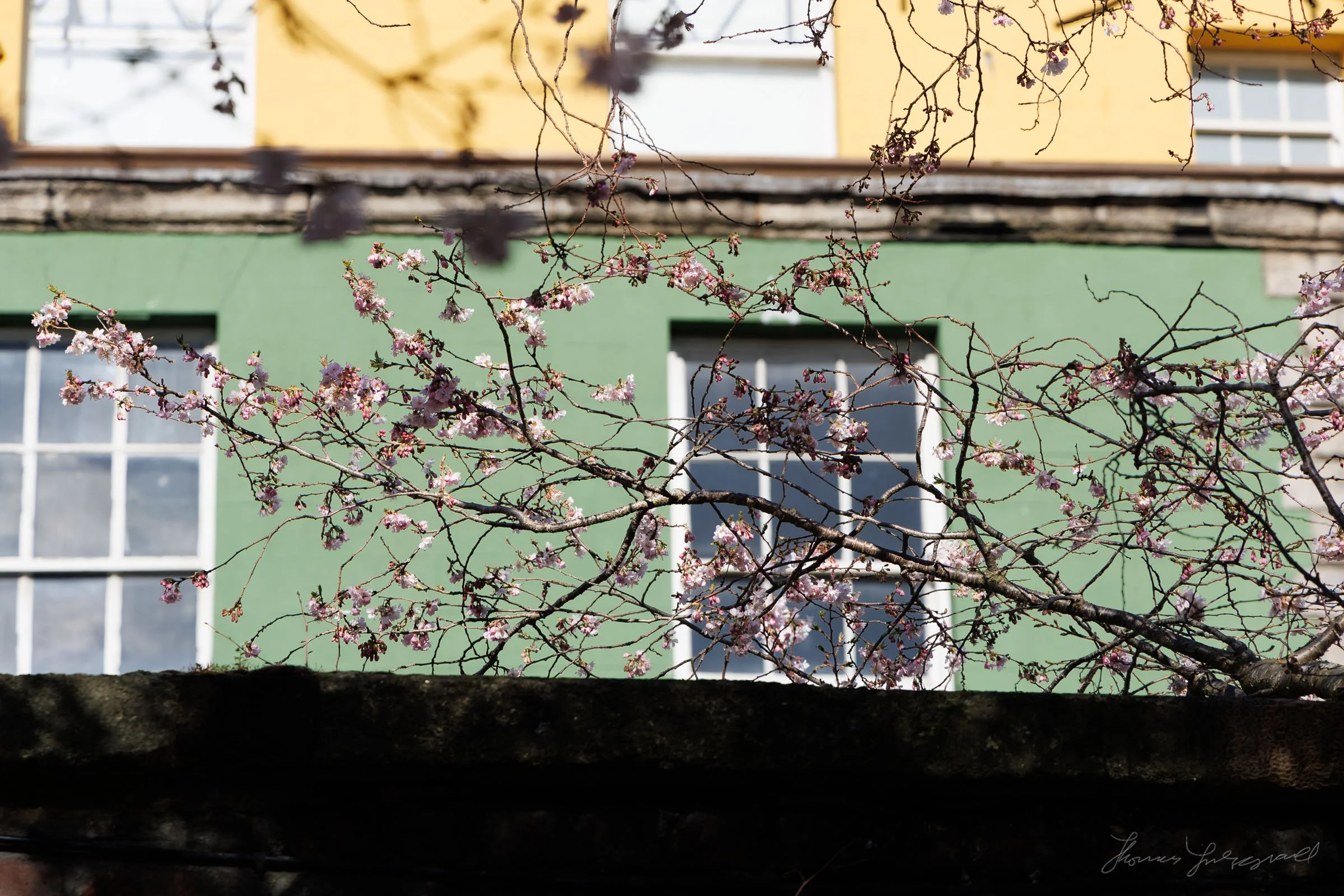 0F9A9303-Edit.jpg