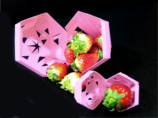 strawberry_packaging_photo-09.png