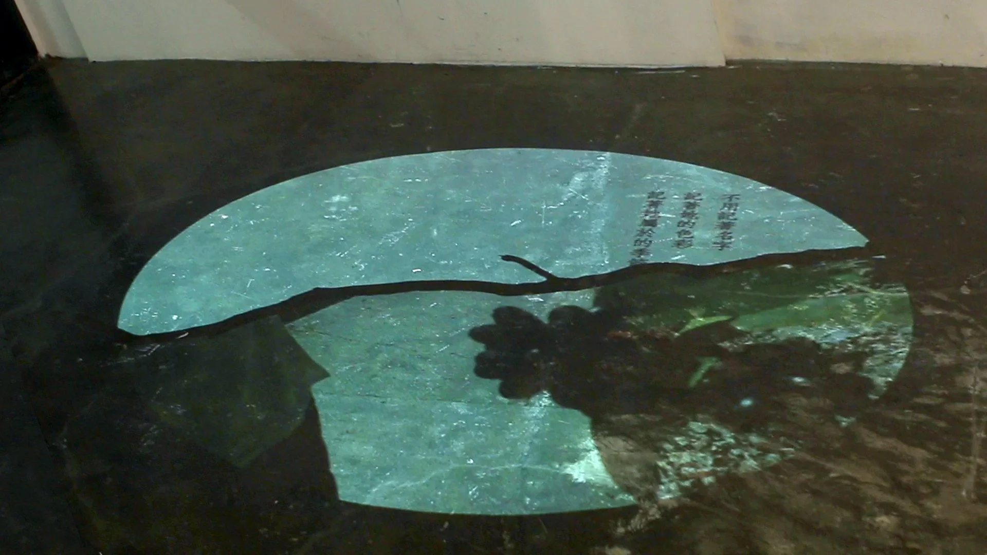 That year, that tree_video cap02.jpg