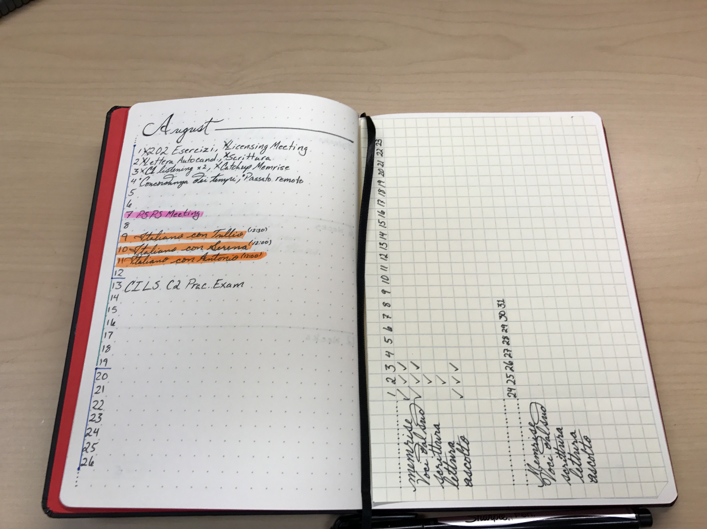 bulletjournal5.png
