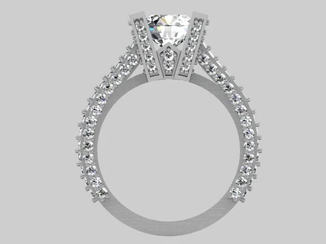 Rendering of ring