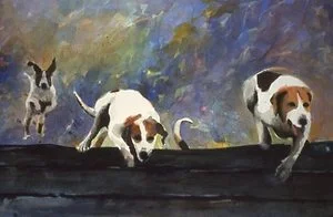 WebAnimals (20).jpg