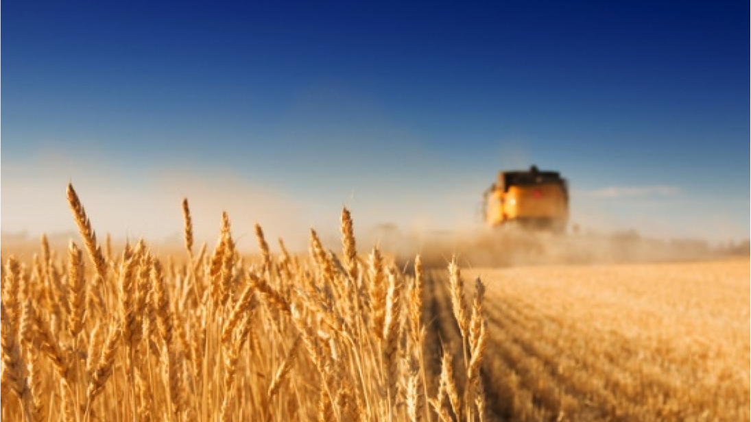 Growth initiatives articulation and prioritization for US$1B SBU of one of the largest US commodities corporations