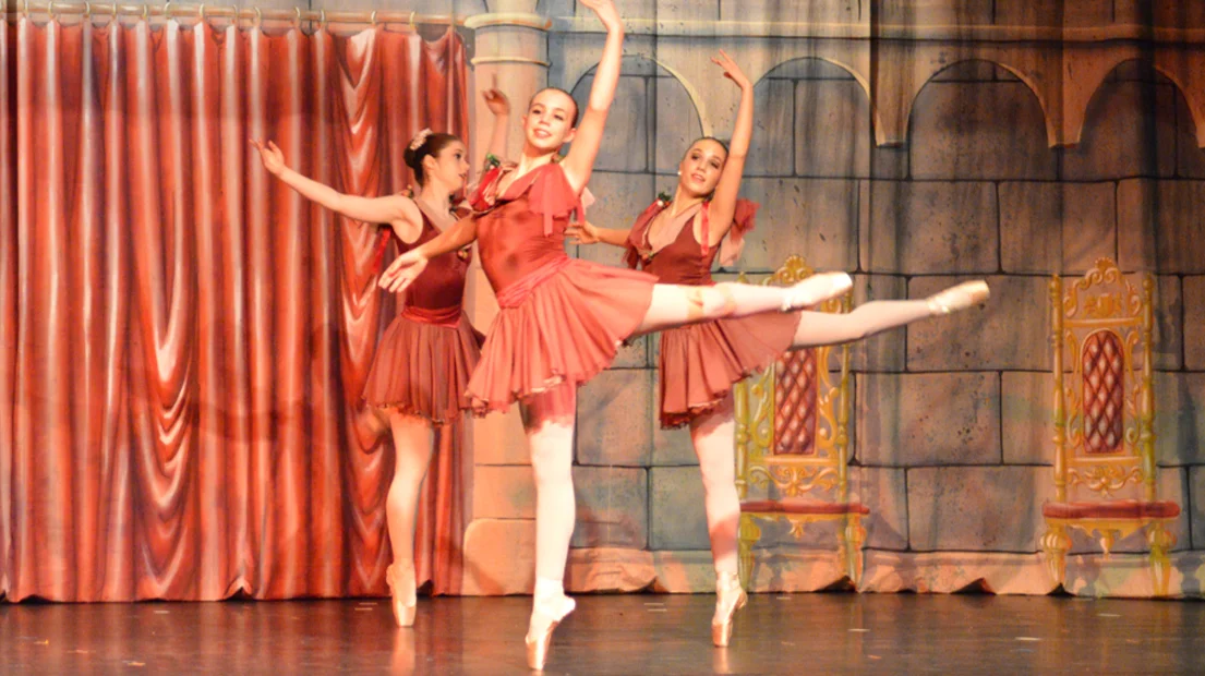 Turnaround, Growth Strategy and Implementation for Alma Dance School