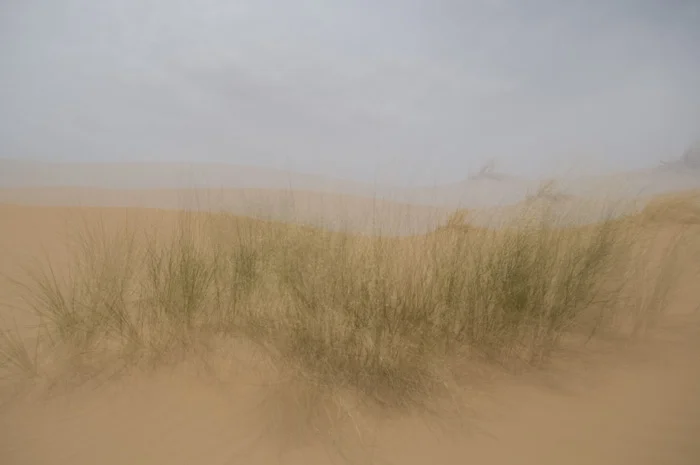 LJ20100526007.jpg