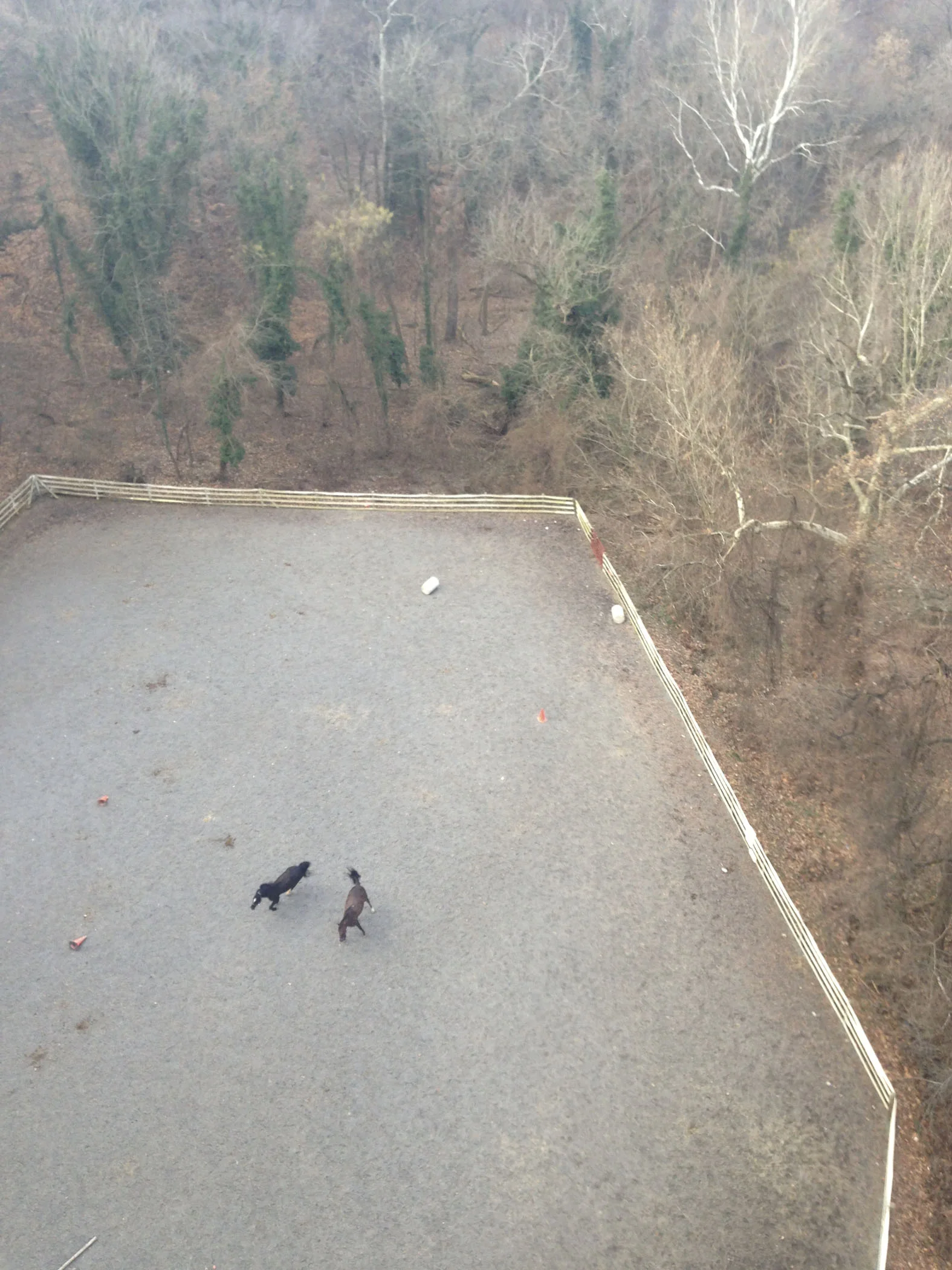 LJ20131219107.jpg