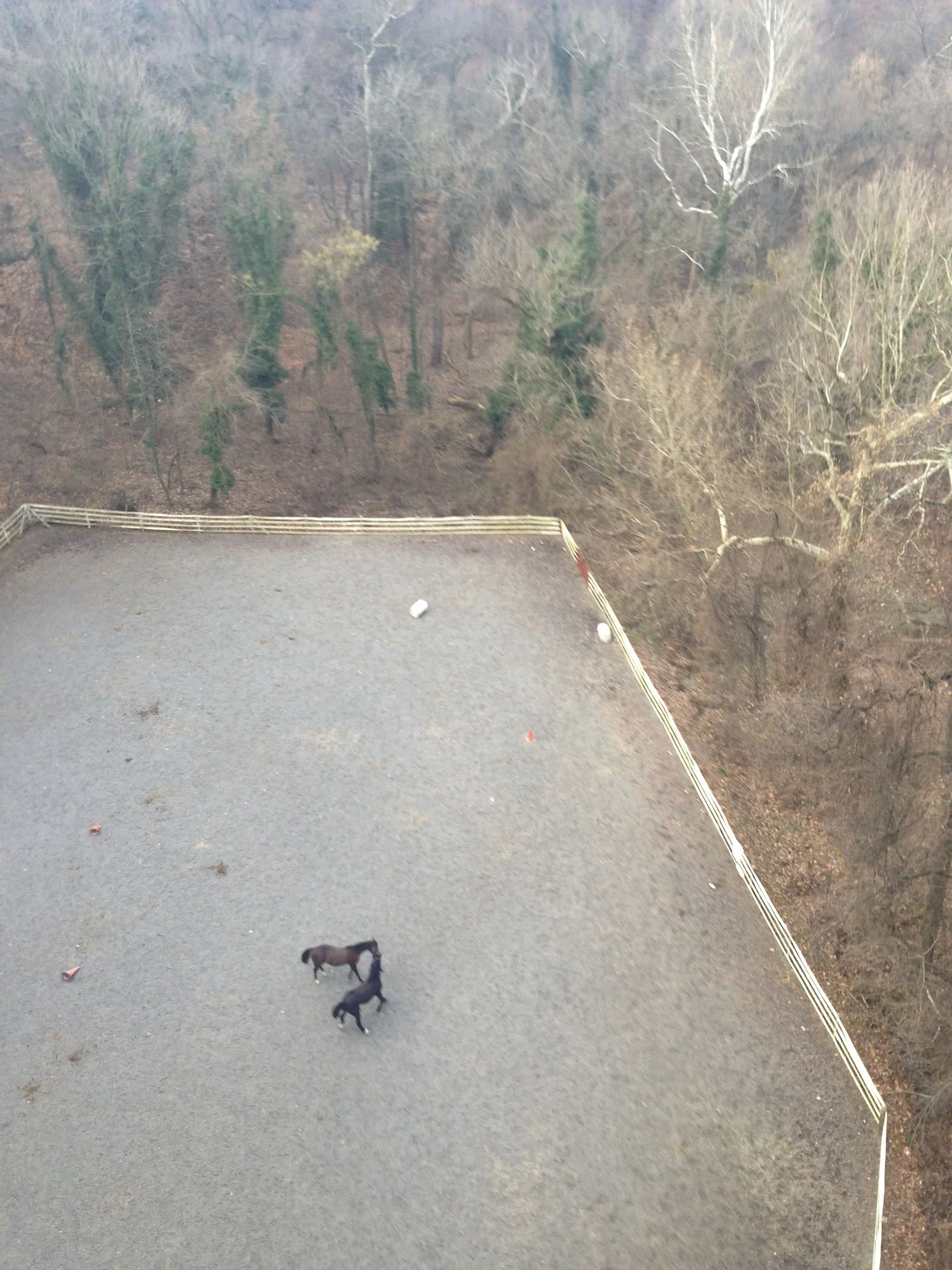 LJ20131219105.jpg