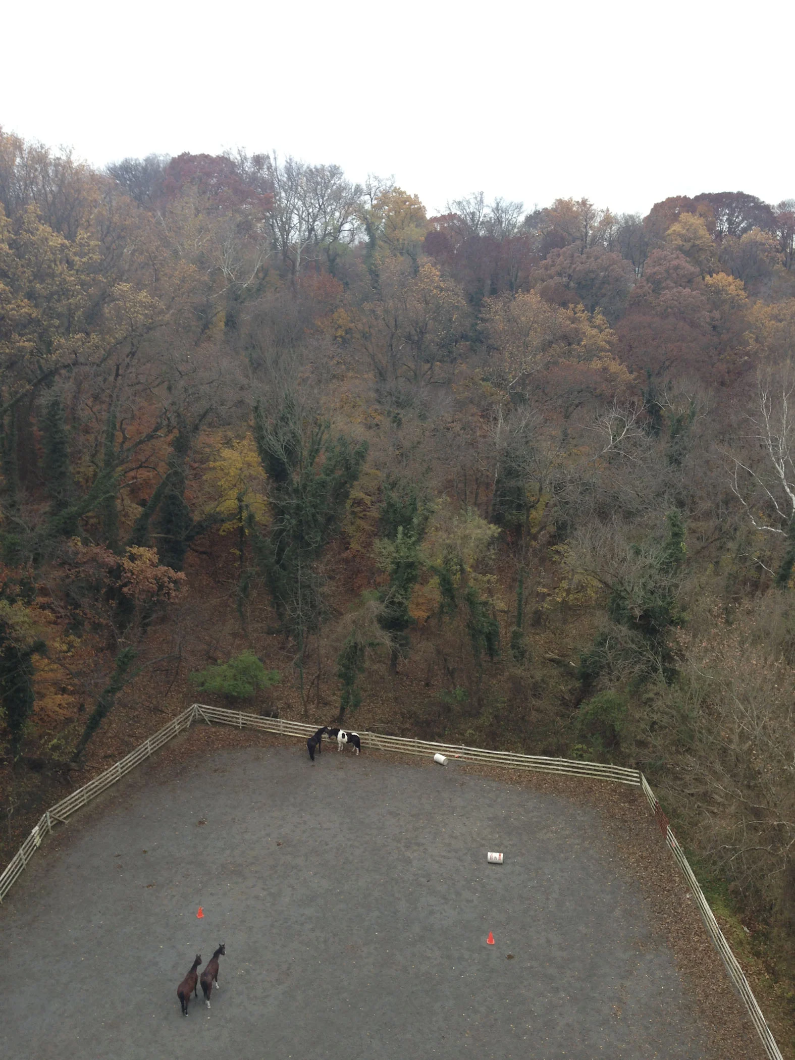 LJ20131121772.jpg