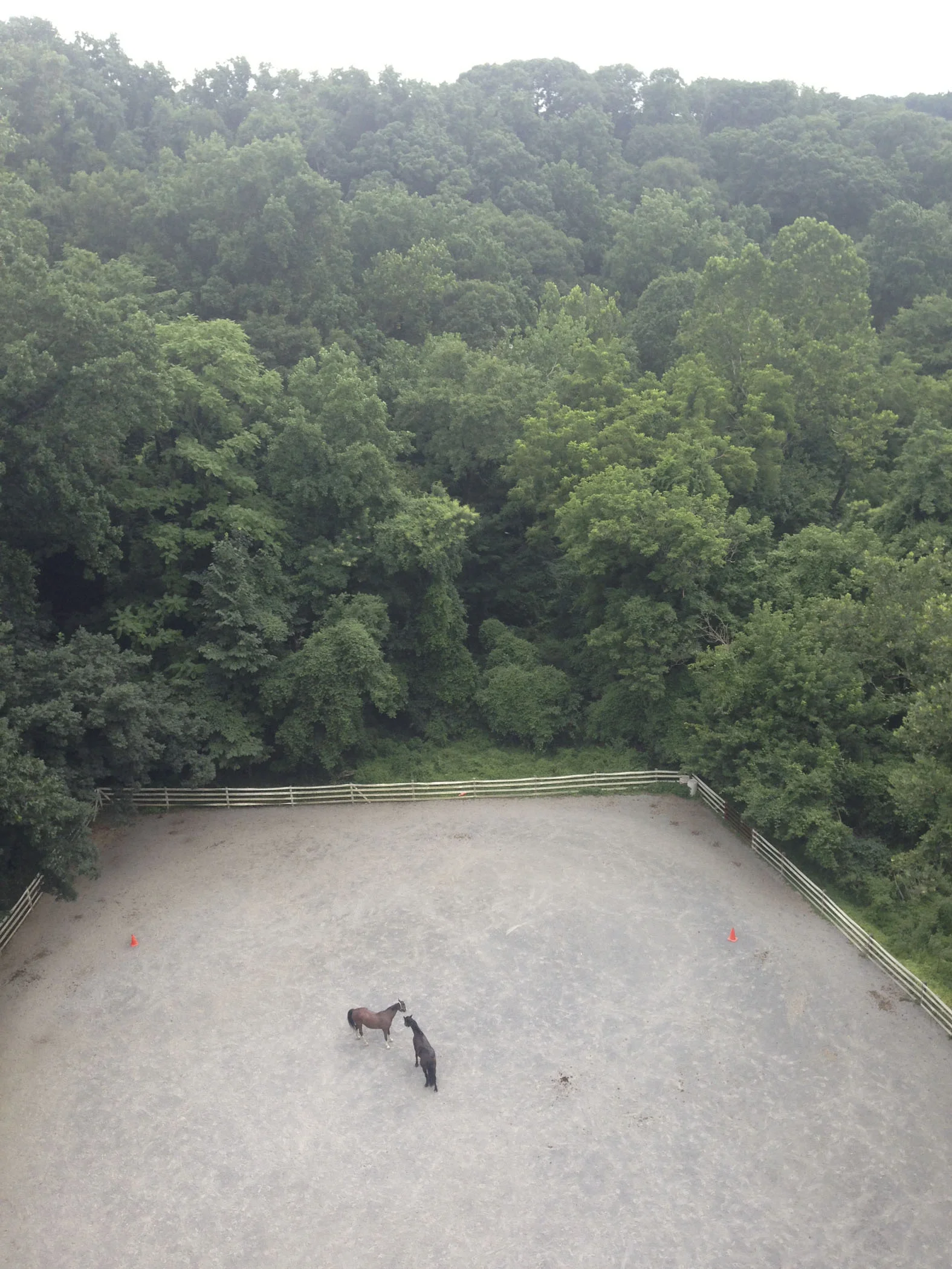 LJ20130725044.jpg