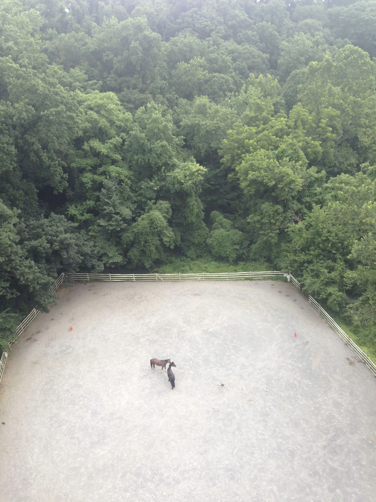 LJ20130725042.jpg