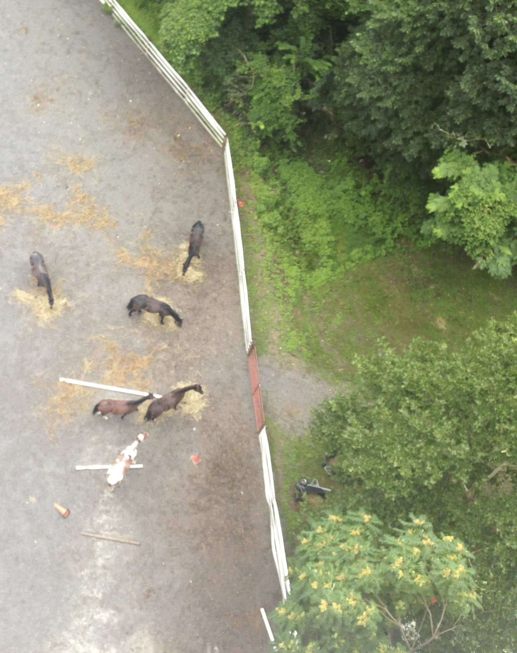 LJ20130711345.jpg
