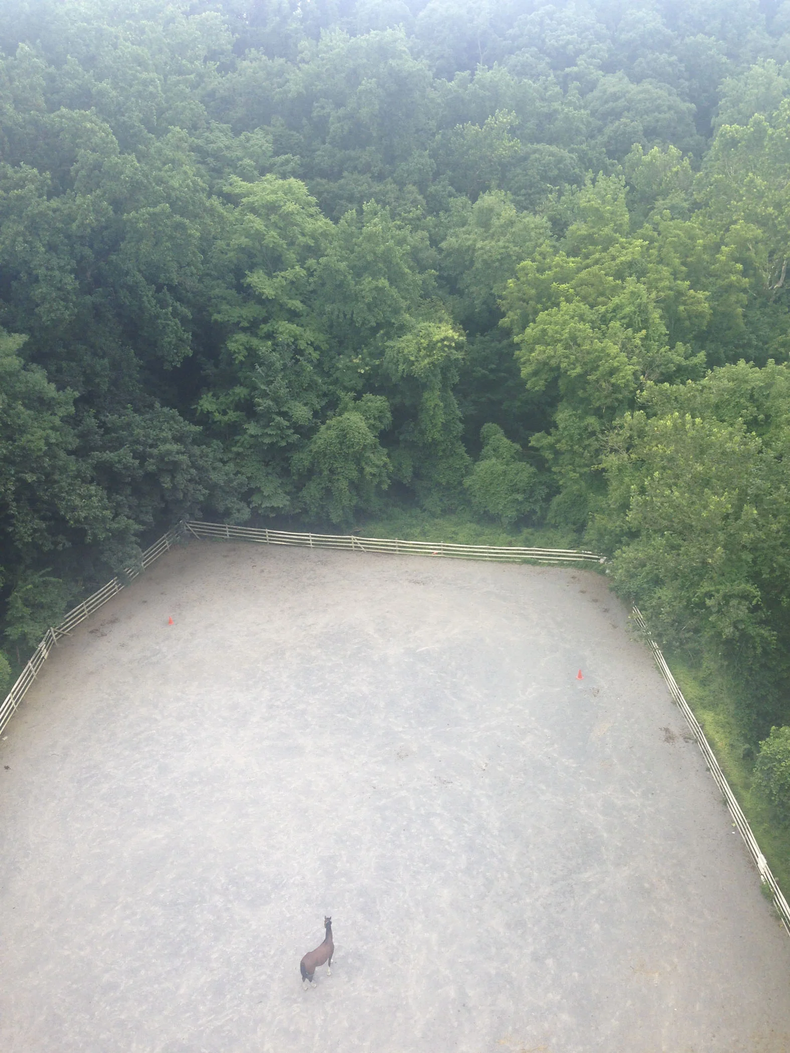 LJ20130724034.jpg