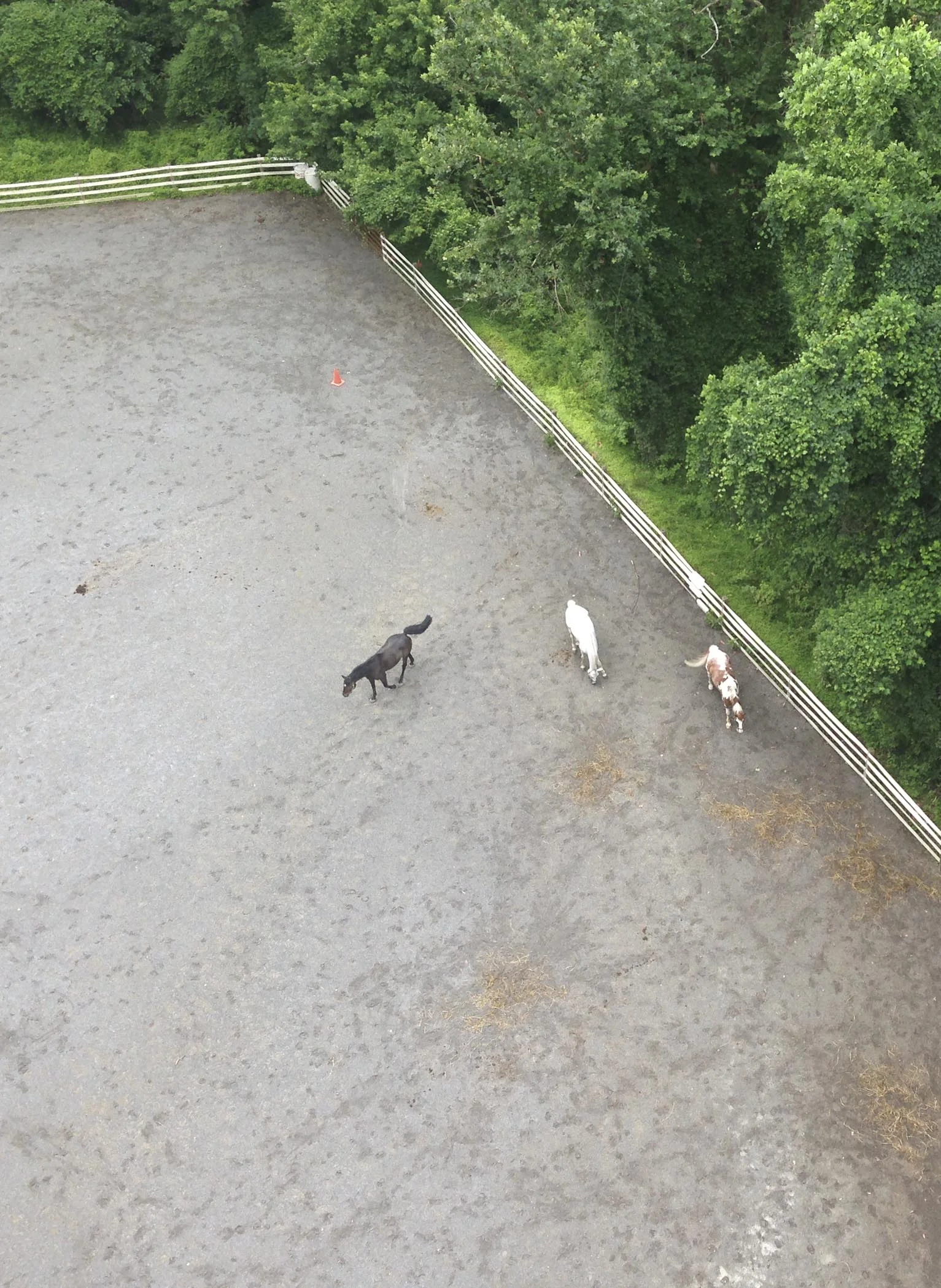 LJ20130709319.jpg