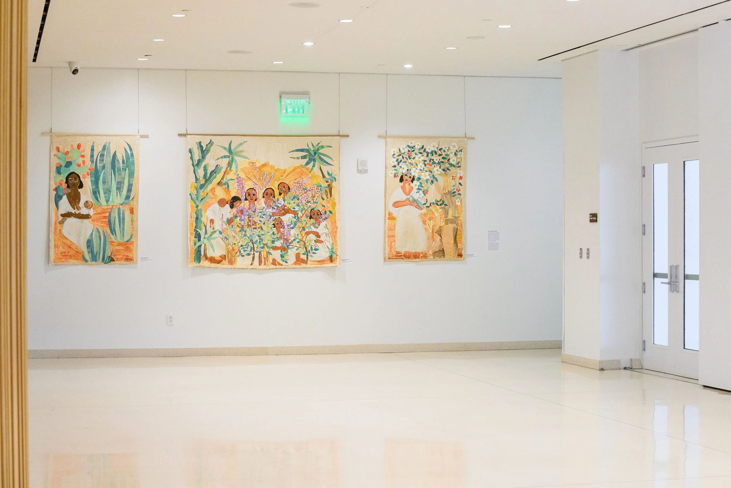 260815DCPL-2258.jpg