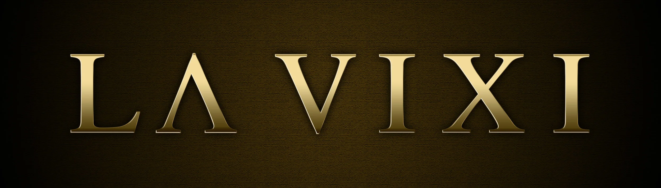 LAVIXI LOGO.jpg