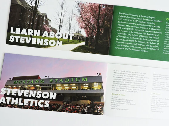 Closer Look copy.jpg