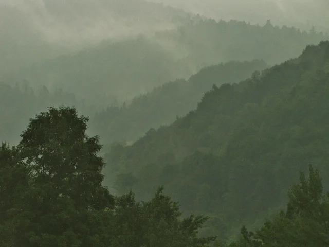 rising out of the mist (640x480).jpg