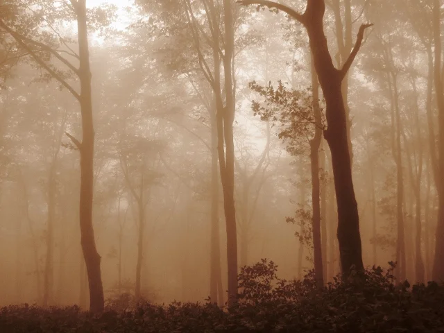 sanctuary (640x480).jpg