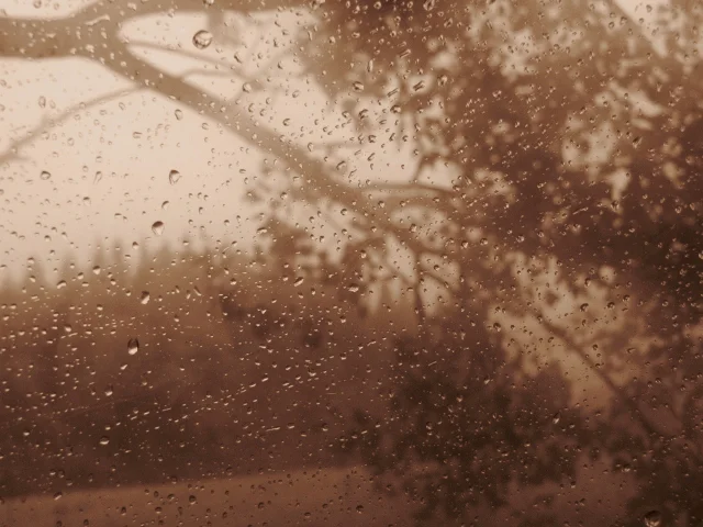 through rain-spotted windows (640x480).jpg