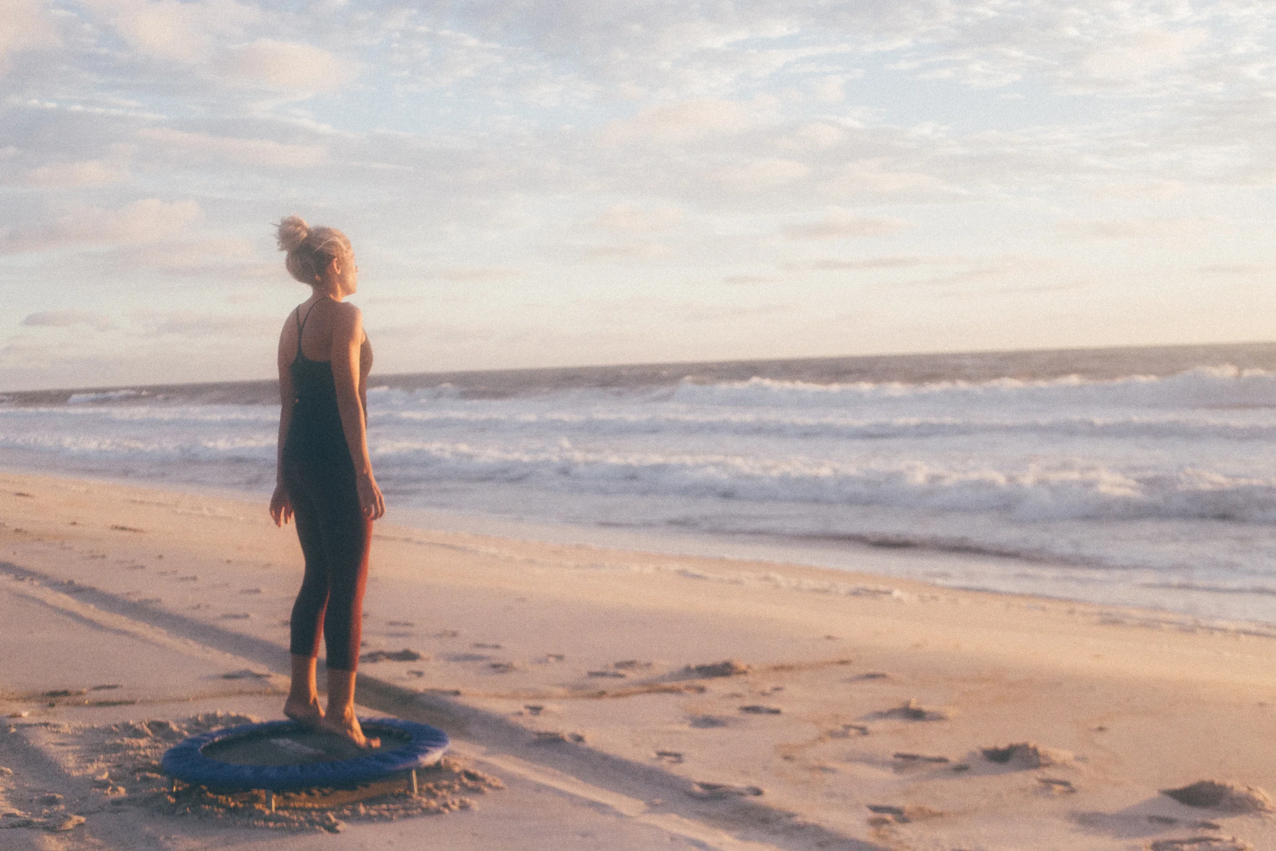 Topic of the Season:  The Lymphatic System.