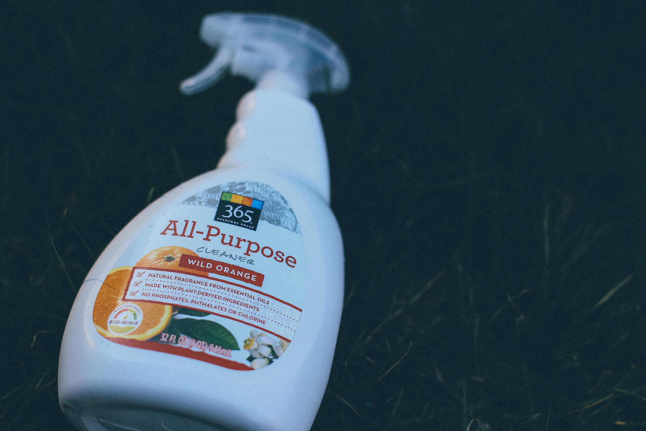 The Dirty Dozen, PLUS ONE in Personal Care Products