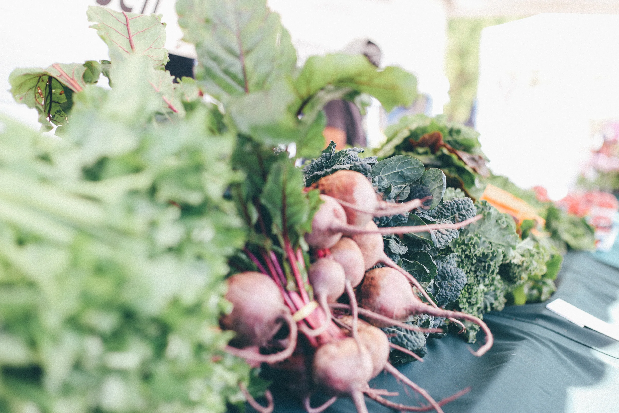 Point Pleasant Beach Farmer's Market