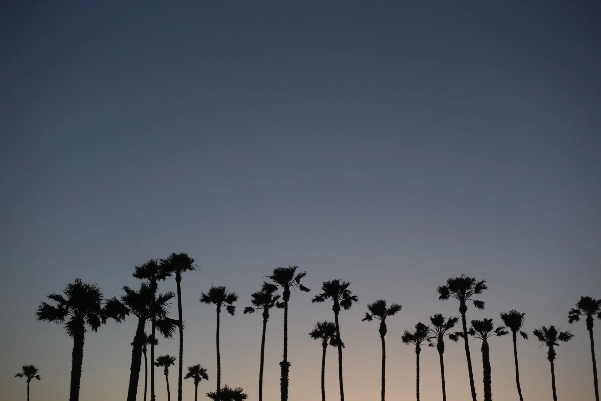 Celebrating the Summer Solstice