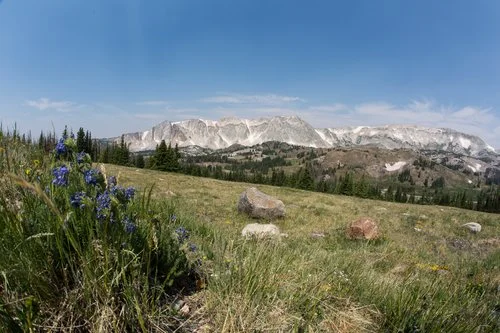 Retreat. Refresh. Renew.