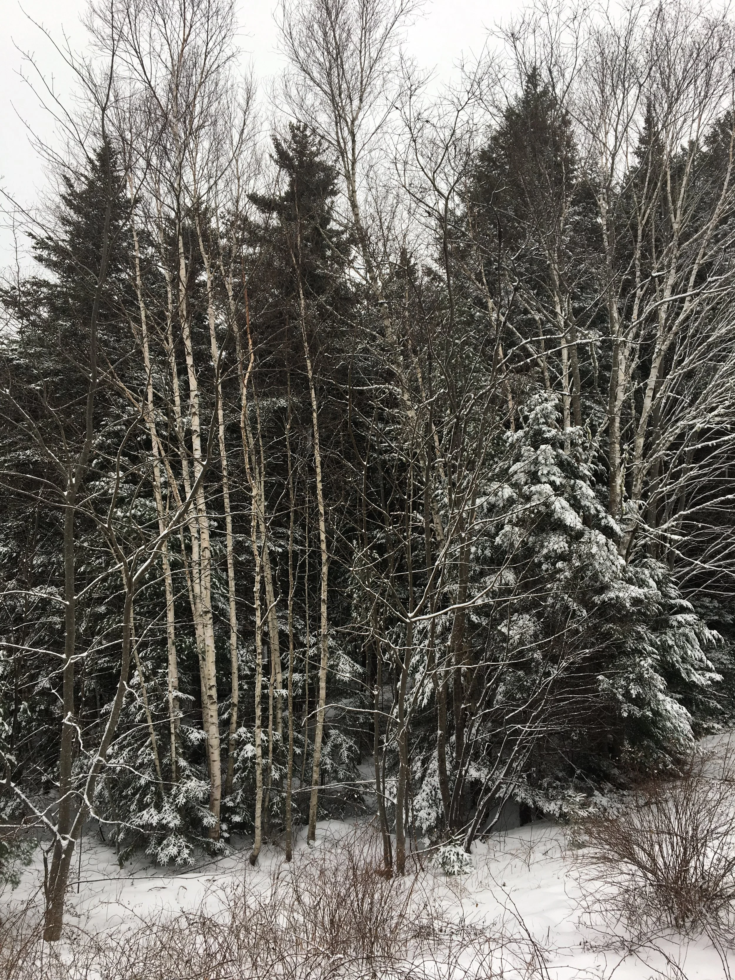 My Favorite Ways to Thrive Through the Winter Months 