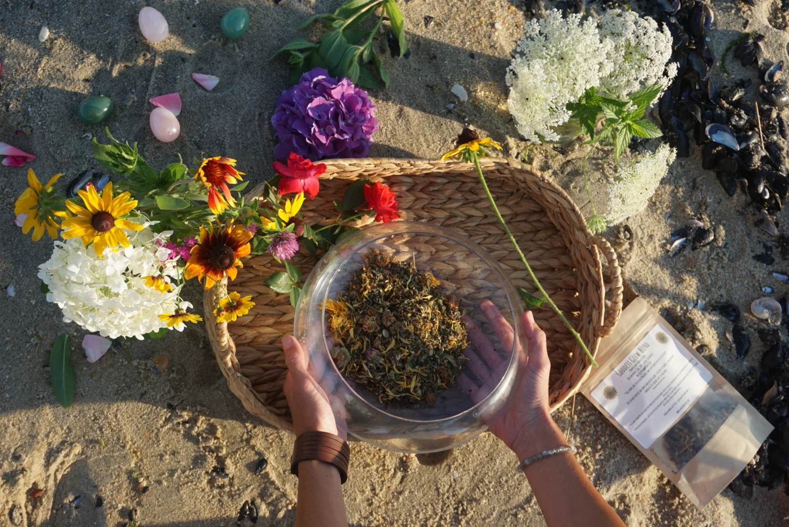 herbs on the beach.JPG