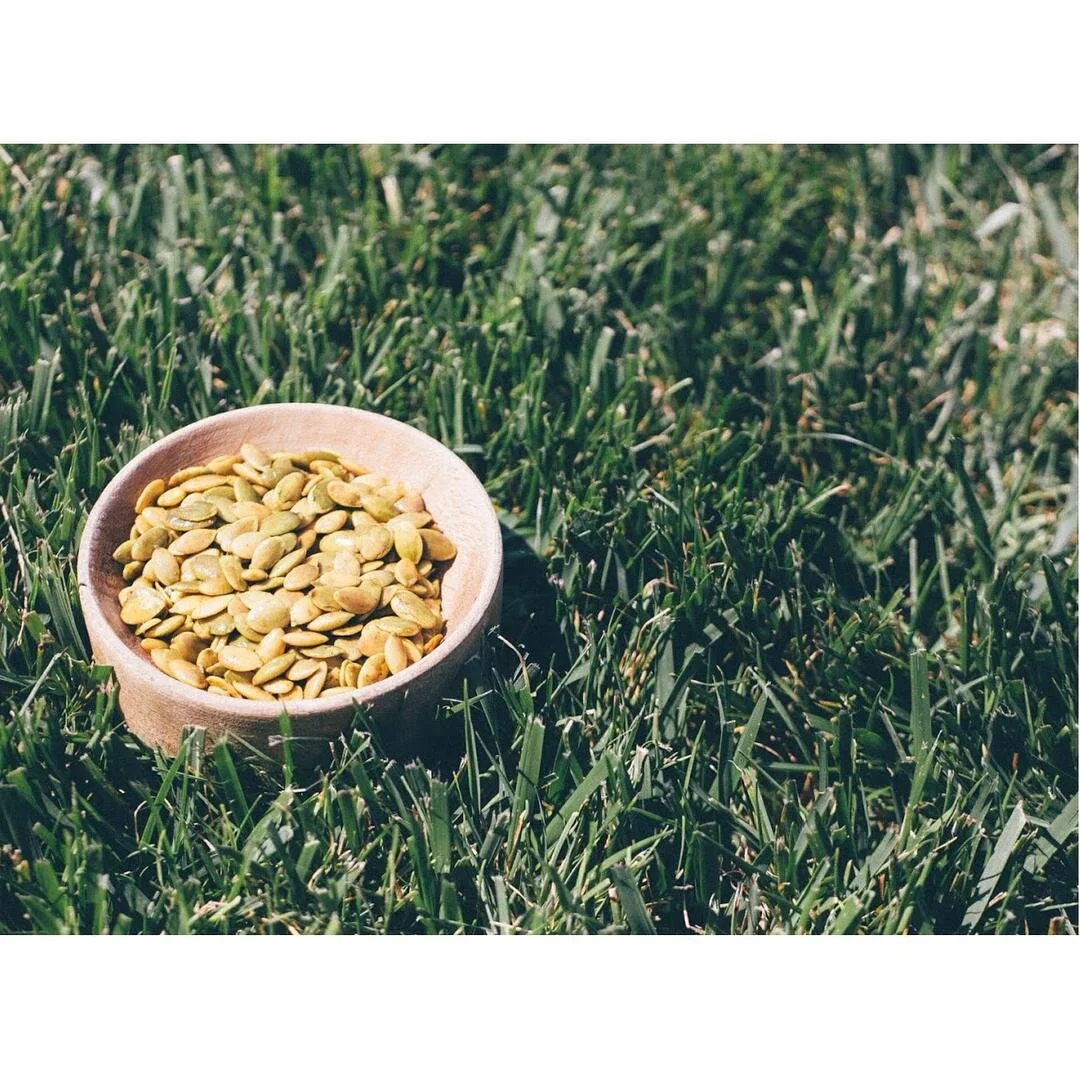 Pumpkin seeds.jpg