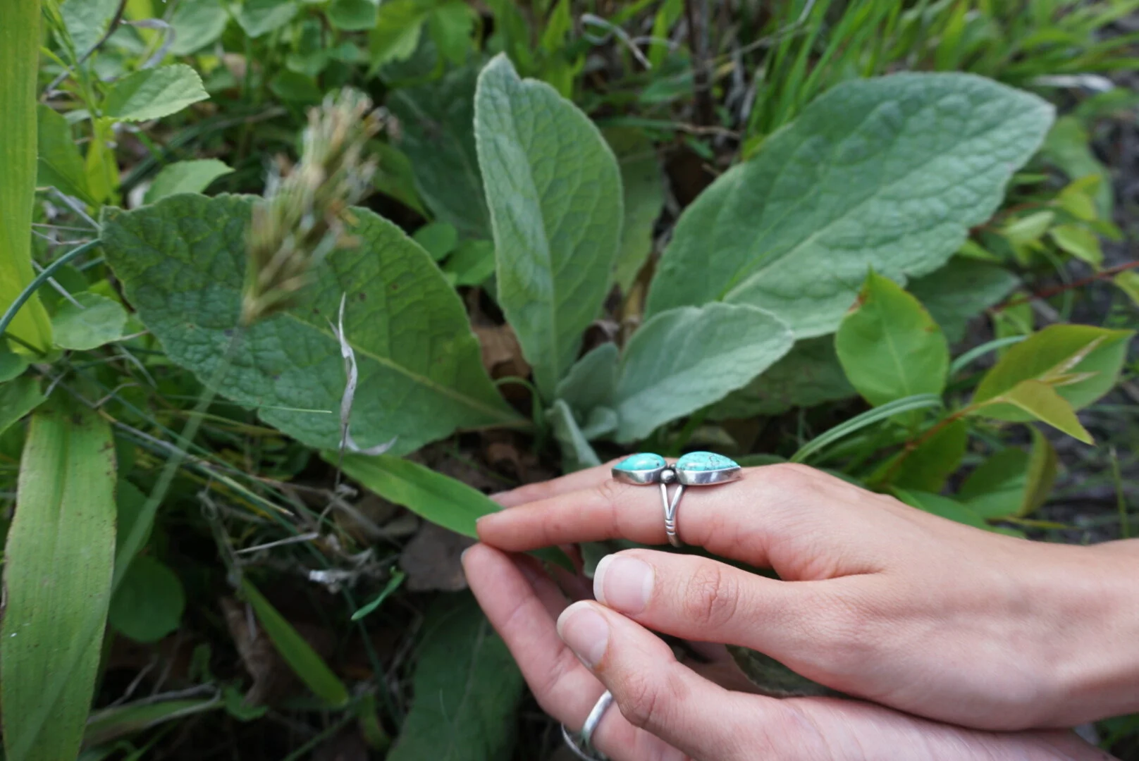 An Inside Glimpse of Supporting Symptoms with Herbs