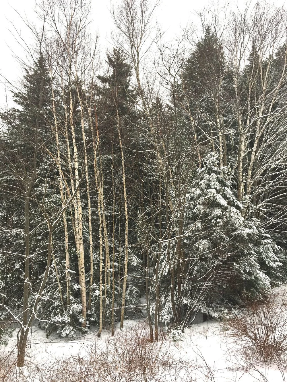 Winter Wellness Retreat Day