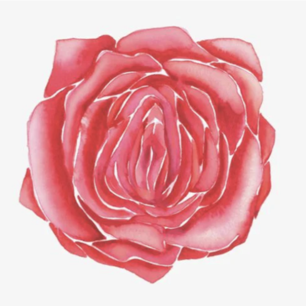 Session 3 - August 27th