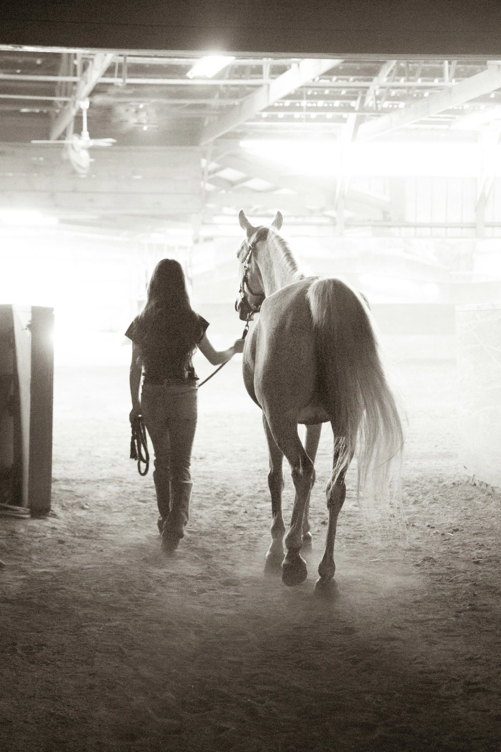 Virtual Fire Horse and New Moon Gathering