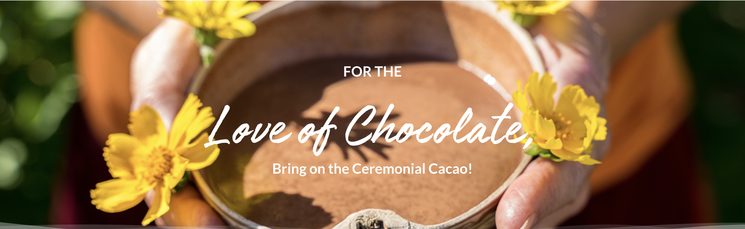 Sacred Online Cacao Ceremony with Shamanic Journey : Live via Zoom 