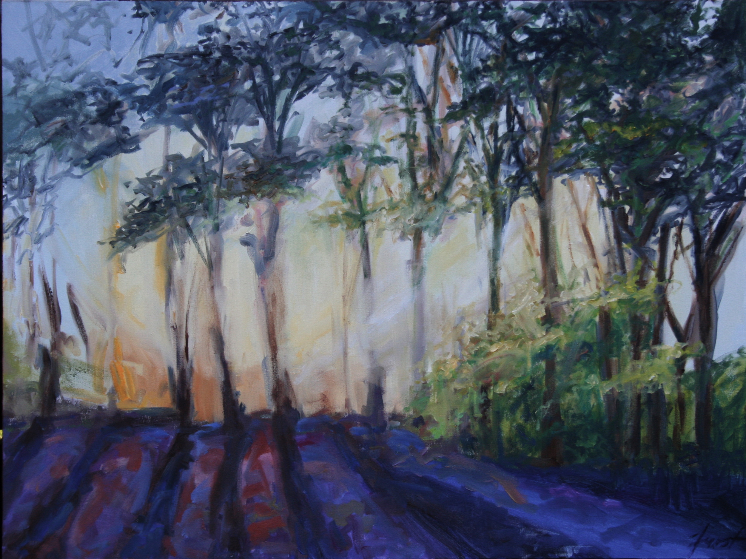 sarah's forest