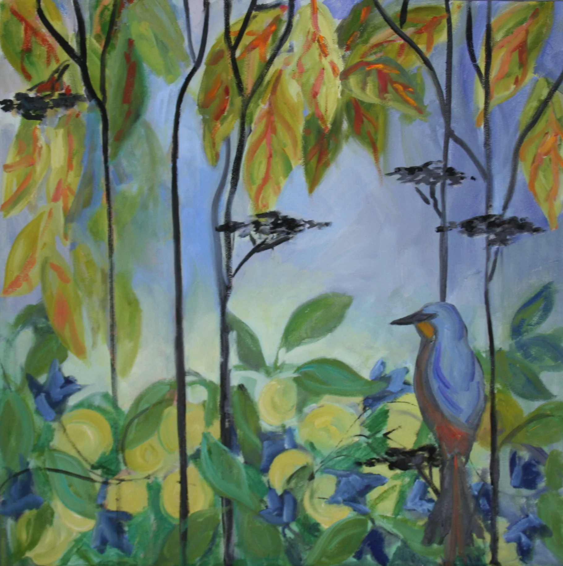 bird