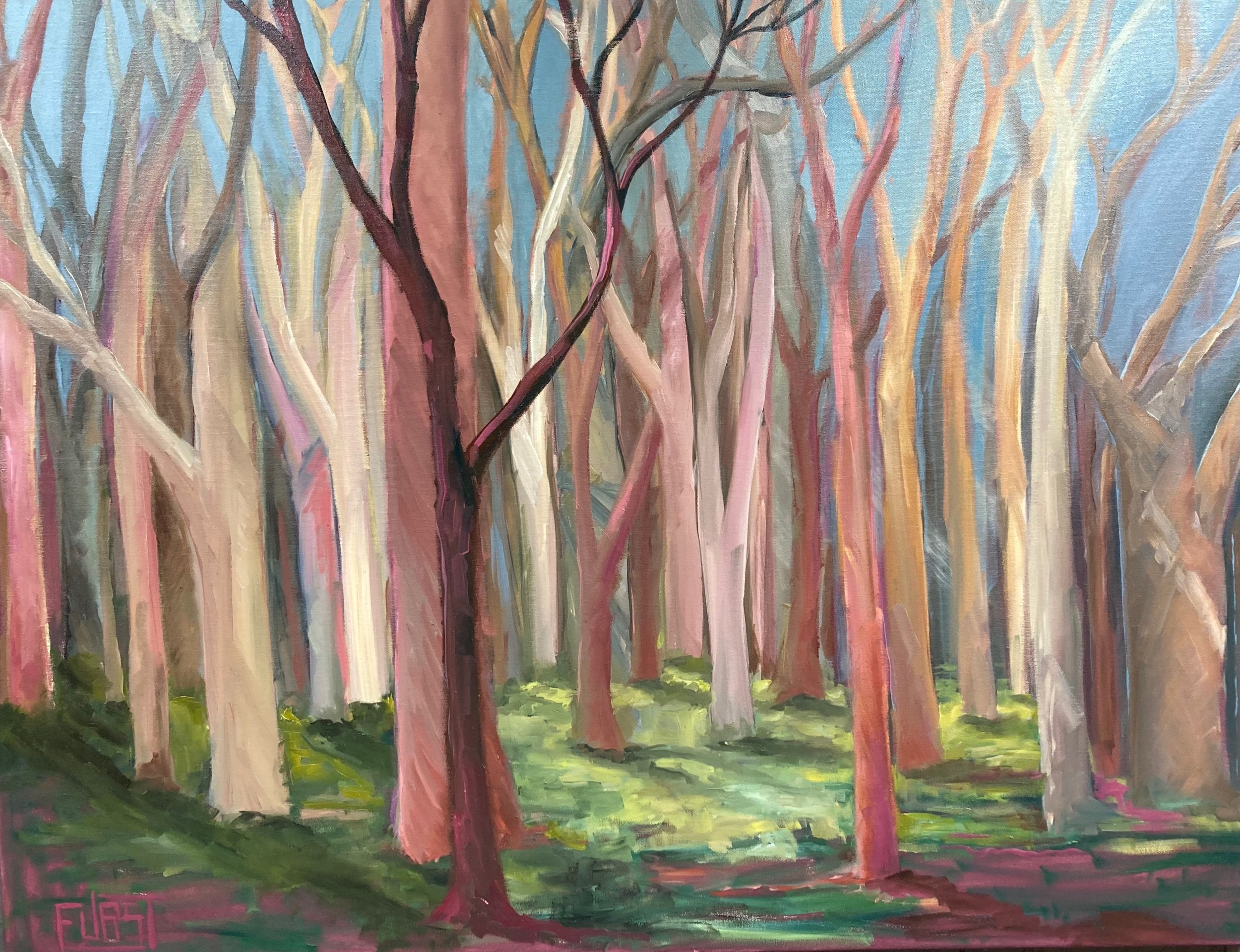 Dappled Sunlight