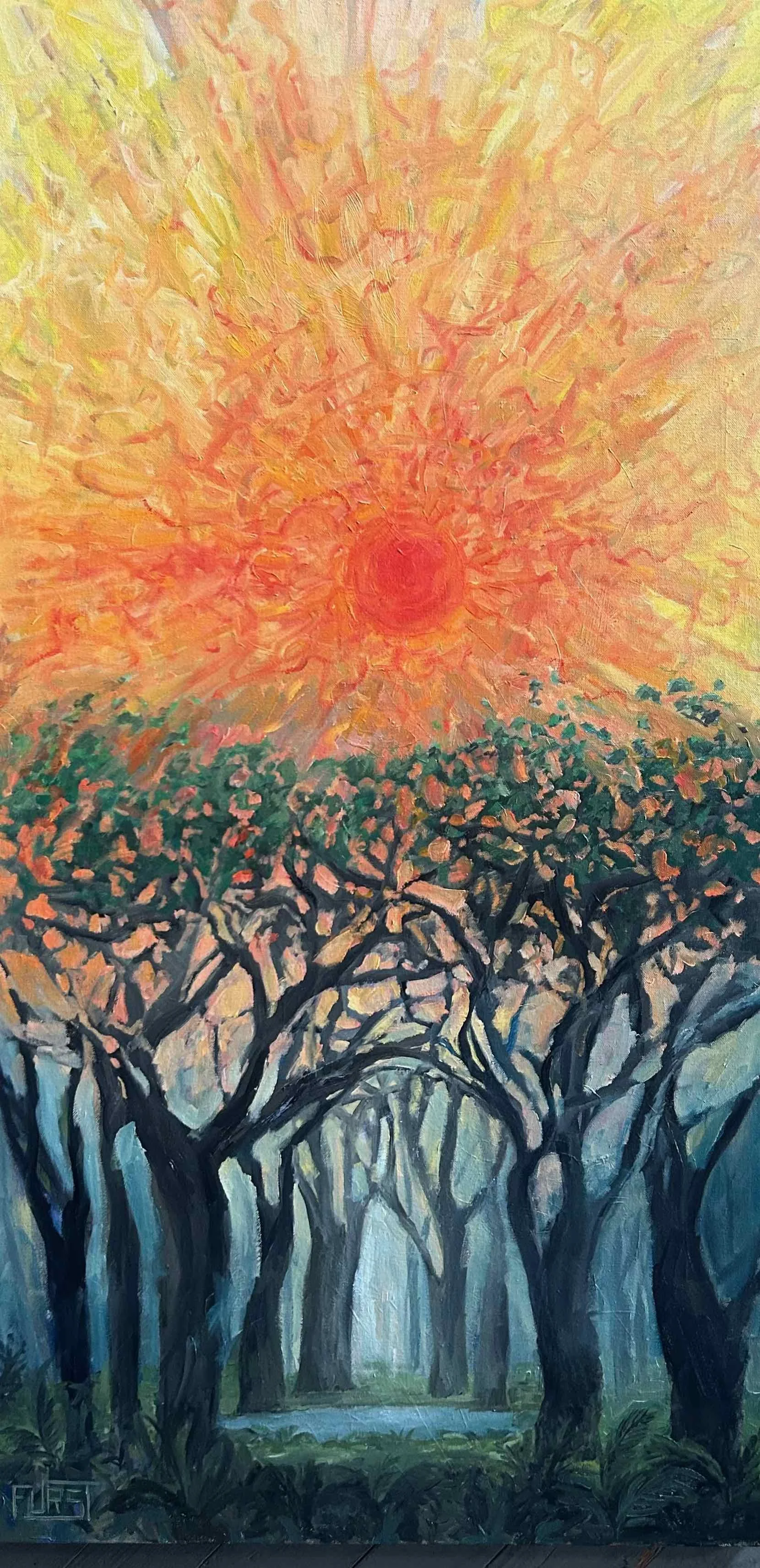 The Forest and the Sun