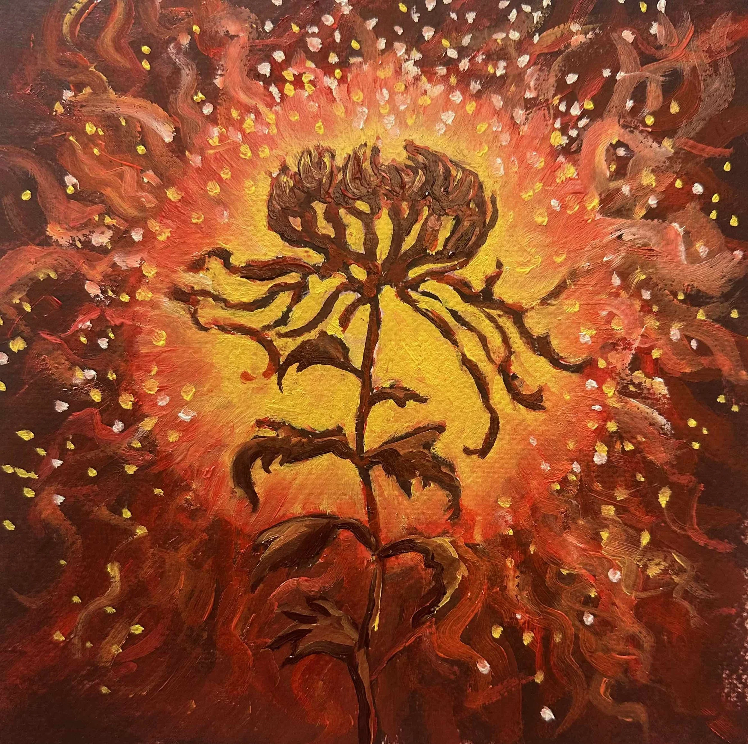 Radiant Chrysanthemum