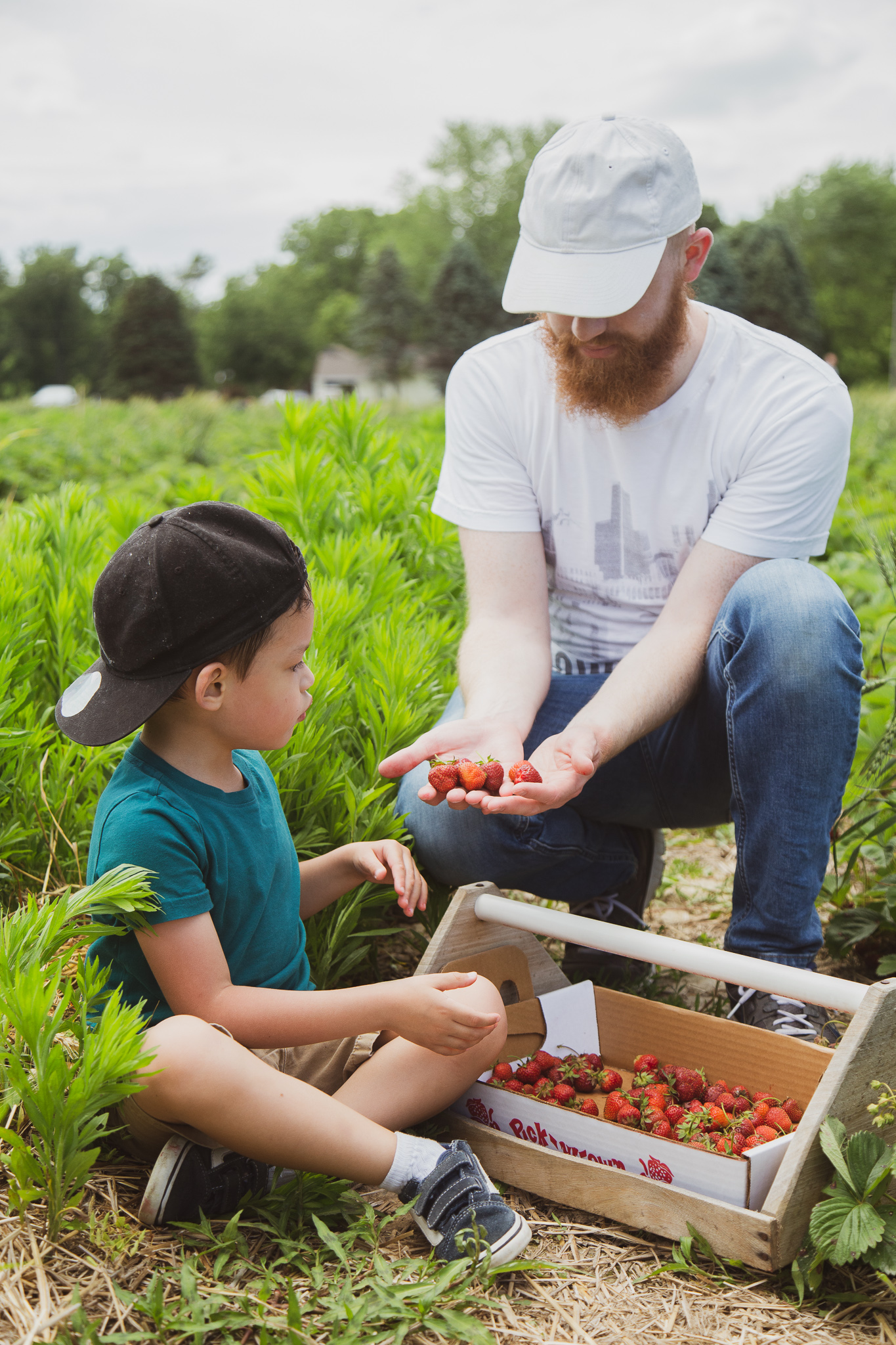 Victoria-Riza Art + Illustration | Berry Picking at Jefferies Orchard | Strawberry and Blueberry Printable