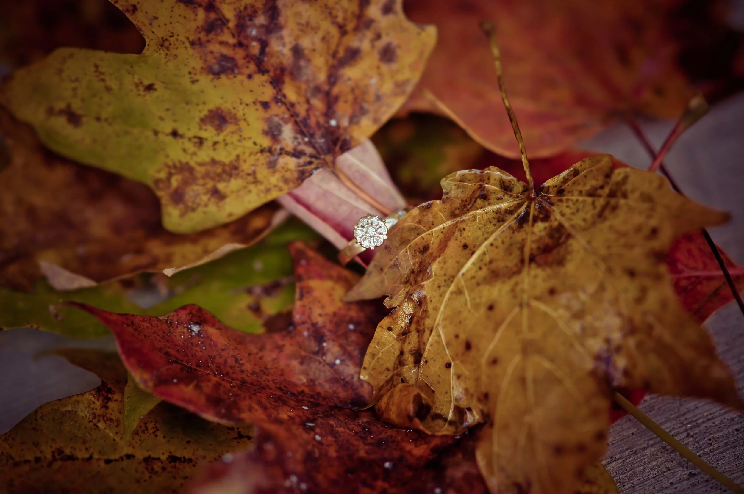 20131102-DSC05660.jpg