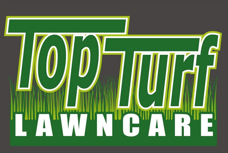 TopTurf.jpg