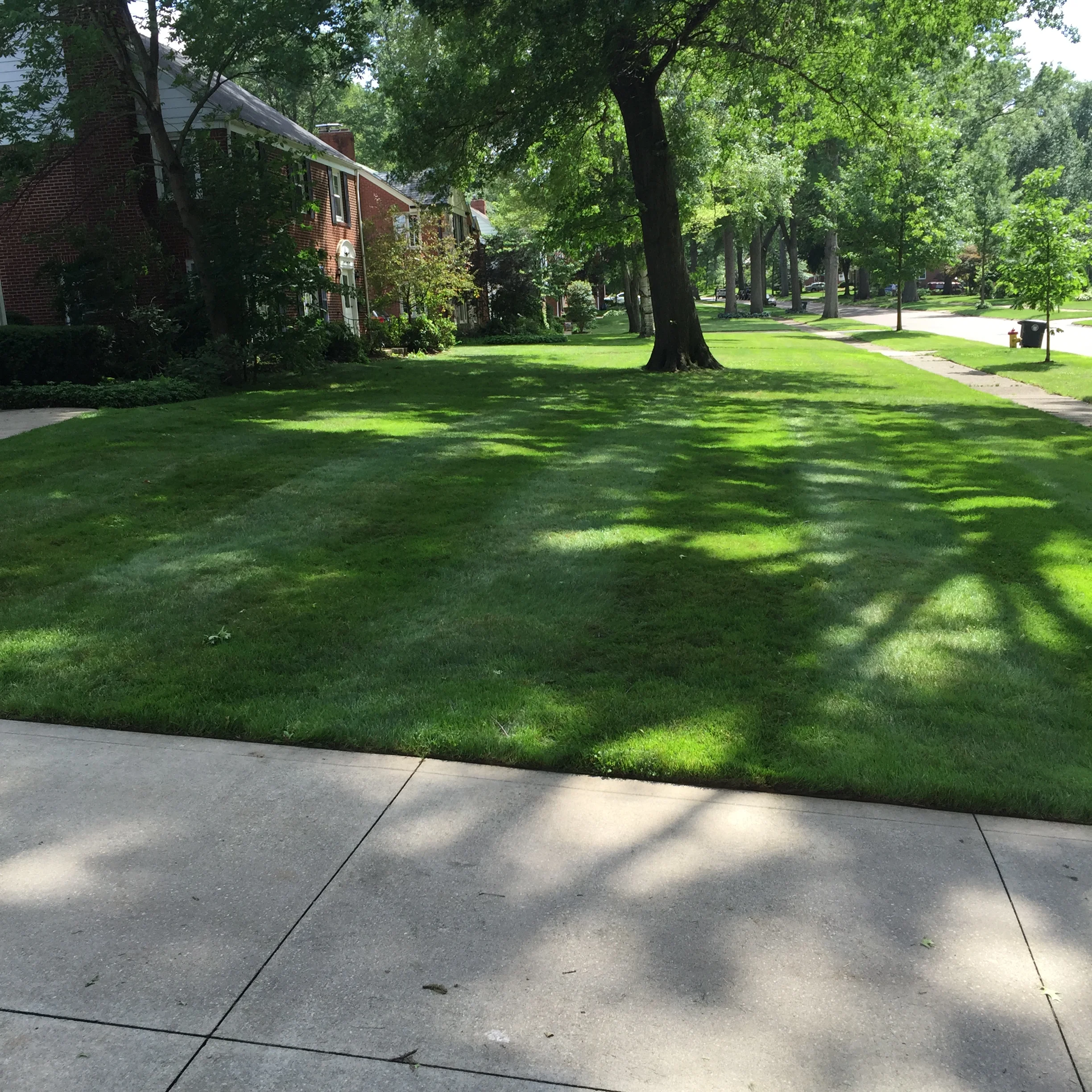 Lawn located in Green, Ohio