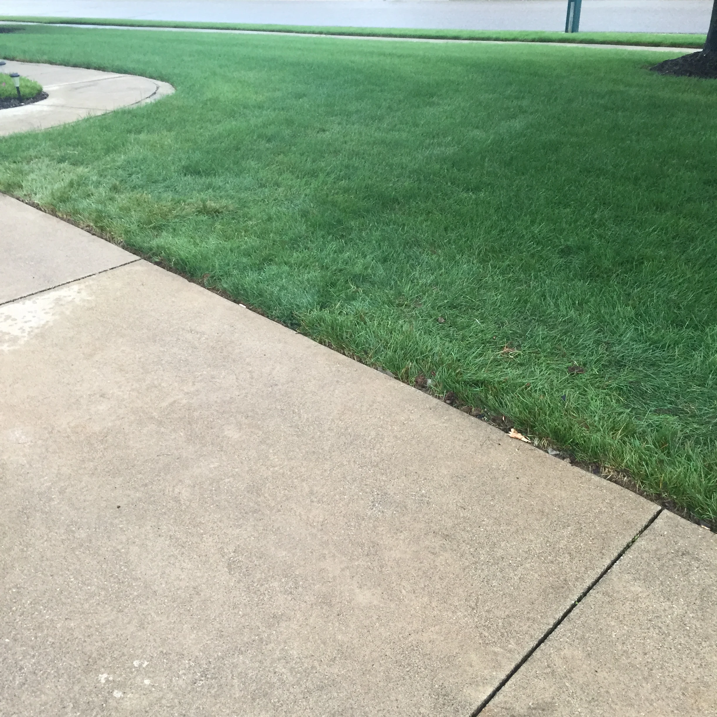 Correct trimming and edging