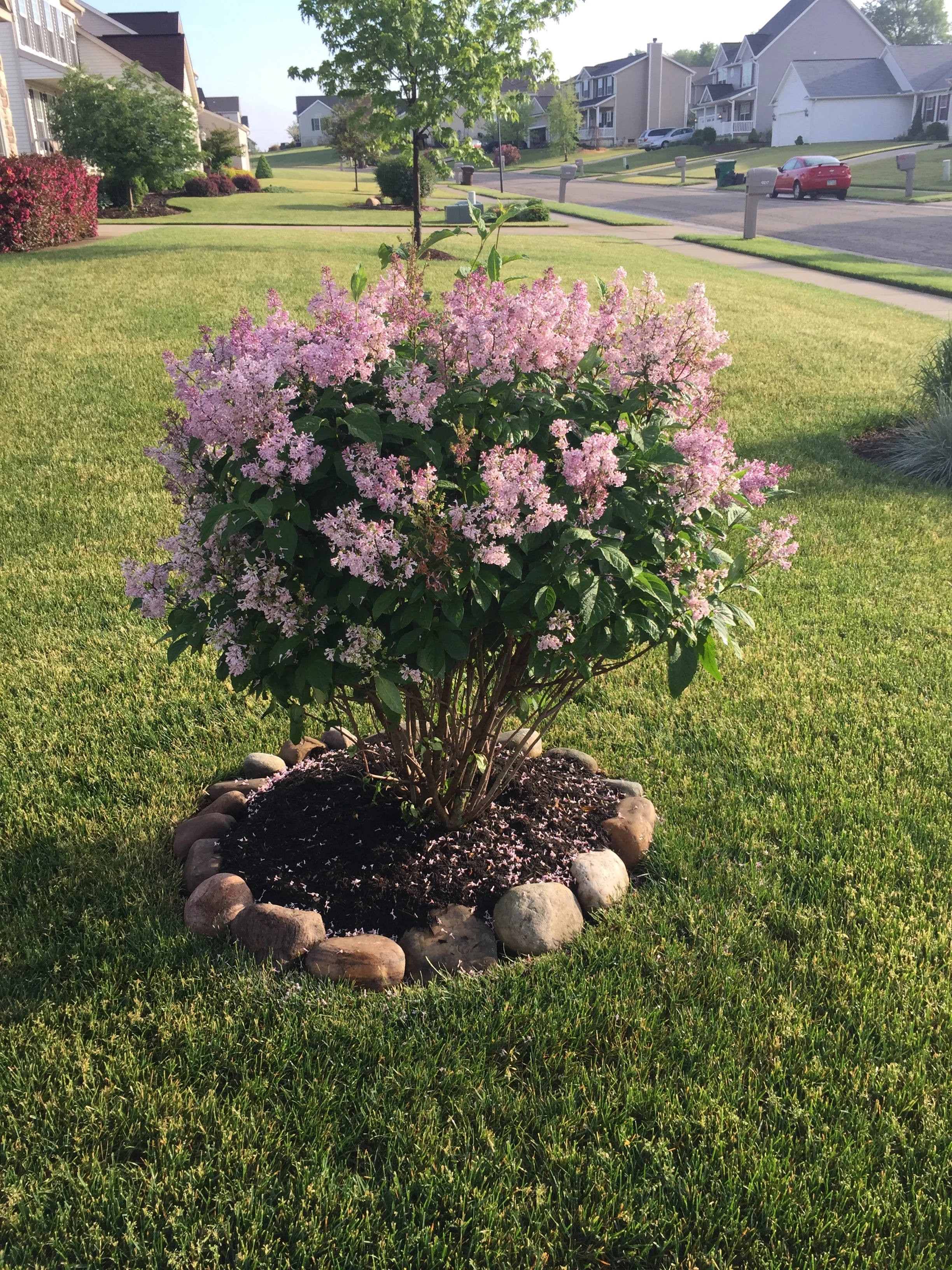 Let us help you create a beautiful lawn!