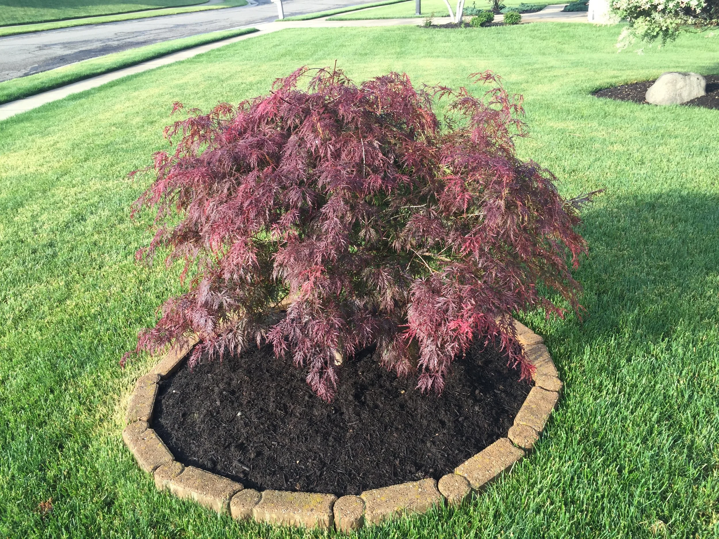 Trimming done right! 