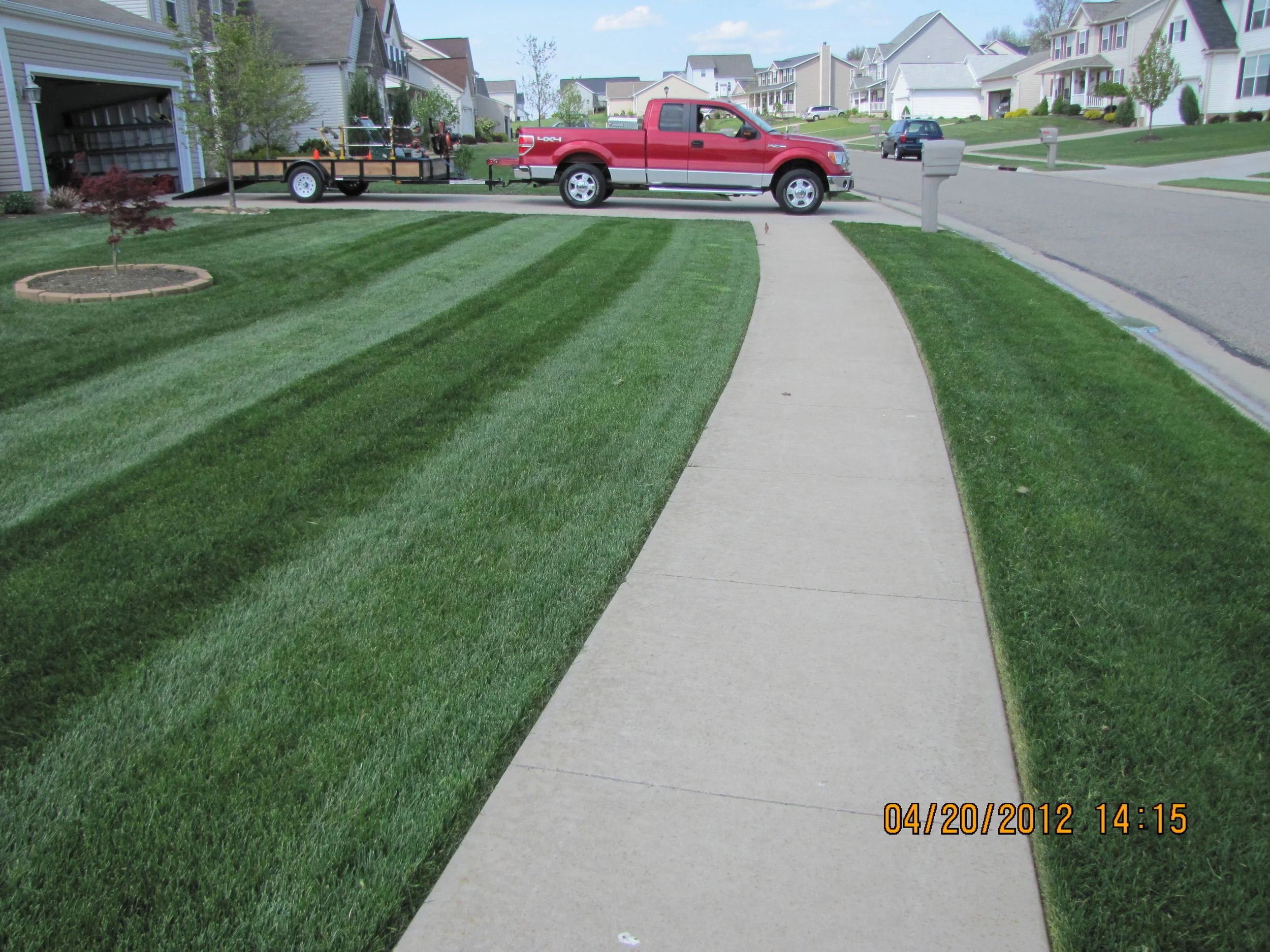 Straight lawn stripes, clean edging, lawn looking good!